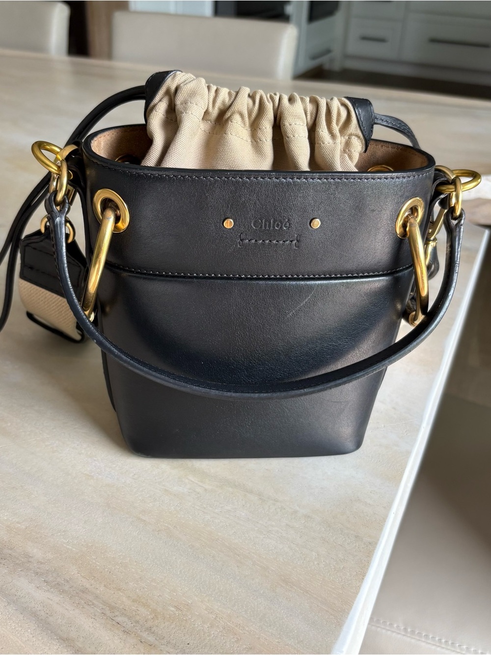 Chloe Roy Leather Small Bucket Bag with Canvas Drawstring